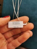 Dangiškasis globėjas – Paveikslėlis 2