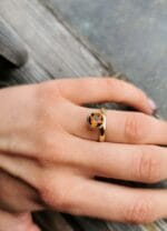 Auksinė šiluma – Paveikslėlis 5