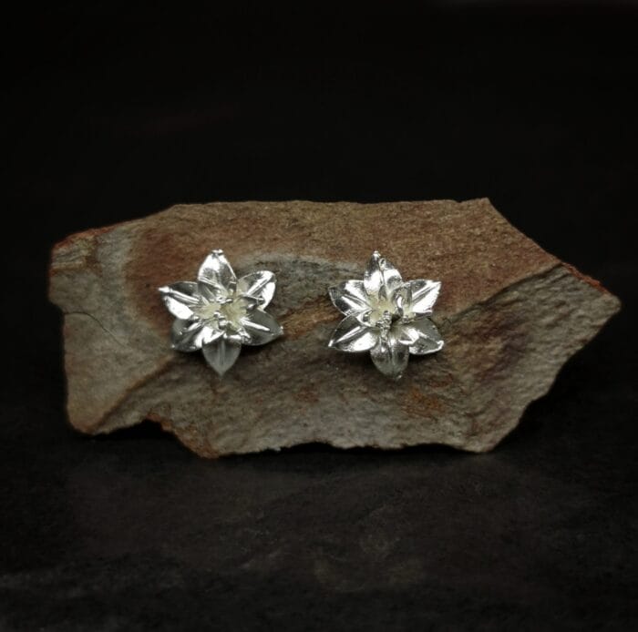 Sidabrinės lelijos – Paveikslėlis 1