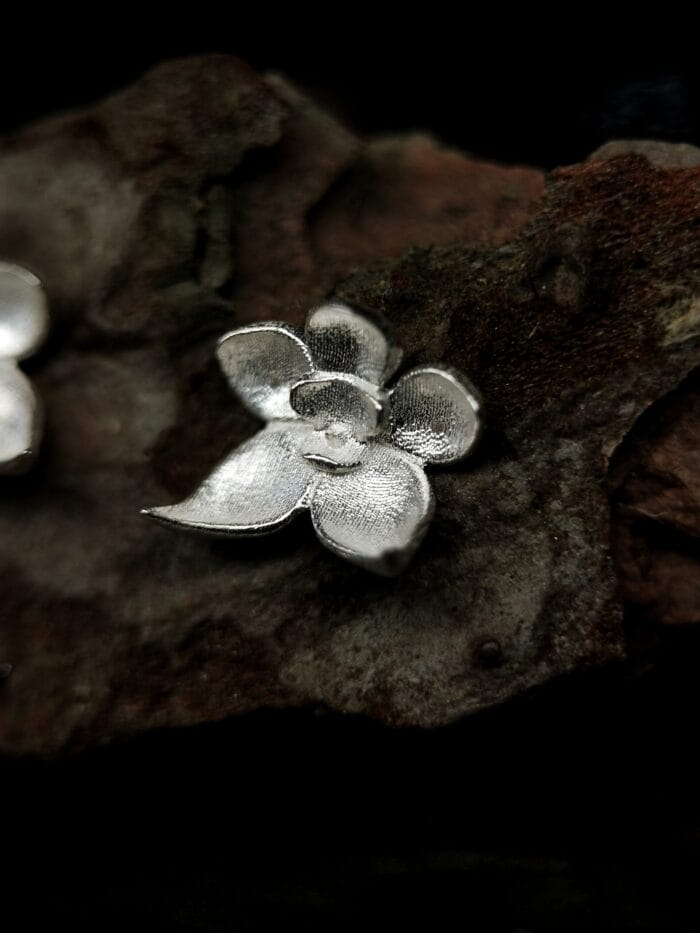 Sidabrinės orchidėjos – Paveikslėlis 2