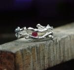 Koralas su rubinu – Paveikslėlis 4