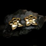 Auksuotos orchidėjos