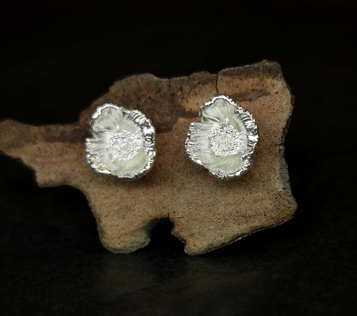 0649fc_d9342e31c82644259dba46ad5097b06fmv2.jpg Sidabrinės aguonos – Paveikslėlis 1