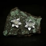 Sidabriniai narcizai