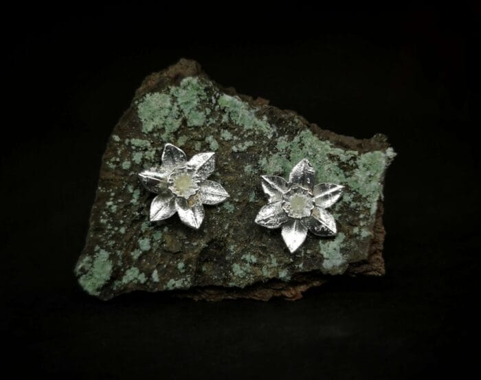 Sidabriniai narcizai – Paveikslėlis 1