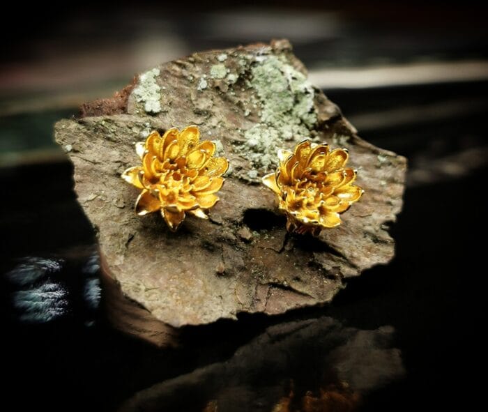 Auksuota vandens lelija – Paveikslėlis 1