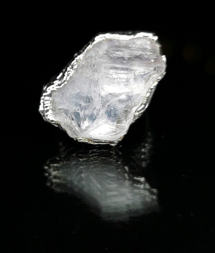 Arktis – Paveikslėlis 2