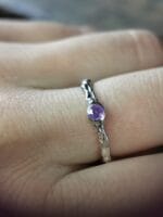 Rožinė aušra II – Paveikslėlis 2