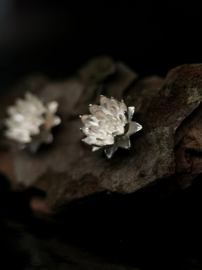 Sidabrinės vandens lelijos – Paveikslėlis 1