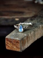 Mėnulio magija – Paveikslėlis 3