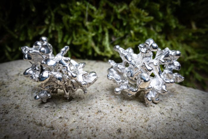 0649fc_ef942c9199bb4a579afed582d37ec781mv2.jpg Sidabrinės kerpės – Paveikslėlis 1