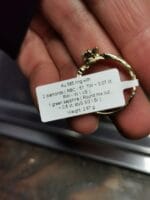 Amžinas pavasaris – Paveikslėlis 7