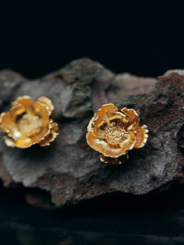 oznorCO Auksuotos plukės - Image 1