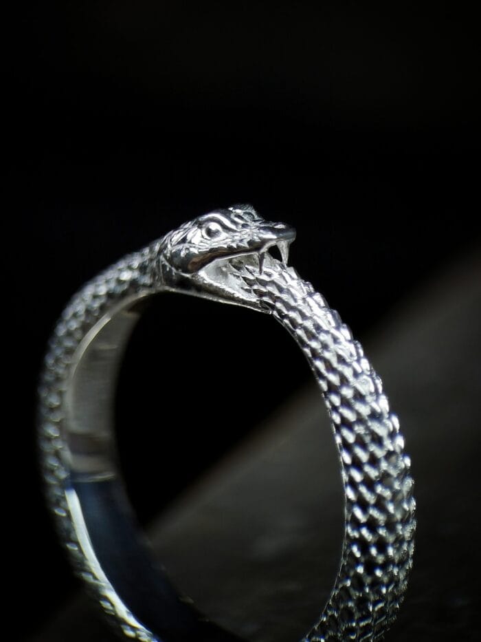 Ouroborus – Paveikslėlis 1