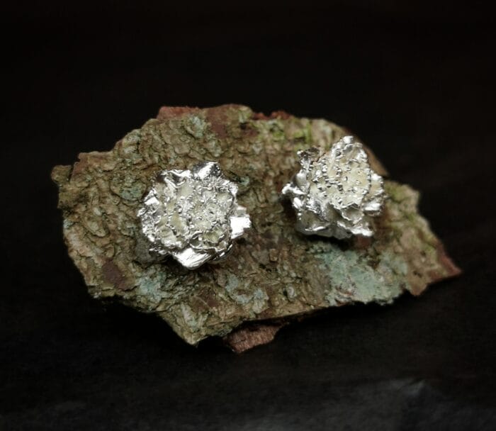 Sidabriniai gvazdikai - Image 2