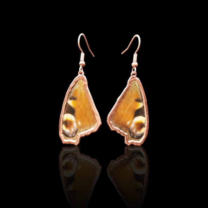 0649fc_fc25bcd8cb884465b159500180389d57mv2.jpg Drugelių auskarai – Paveikslėlis 1