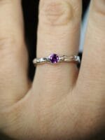 Rožinė aušra – Paveikslėlis 2