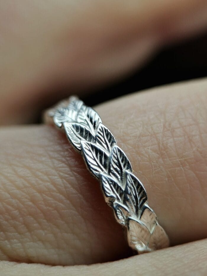 Augimas – Paveikslėlis 2