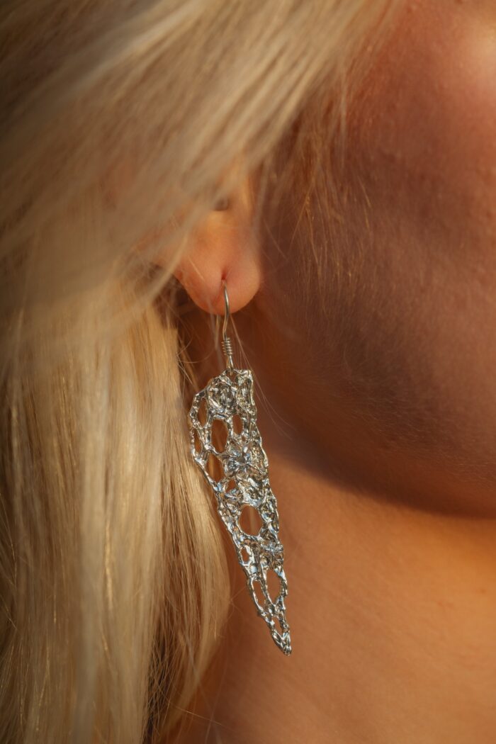 Žvaigždžių nėriniai – Paveikslėlis 3