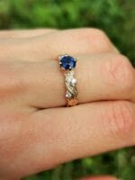 Mėlynoji gyja – Paveikslėlis 7