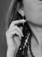 Laumžirgiai – Paveikslėlis 3