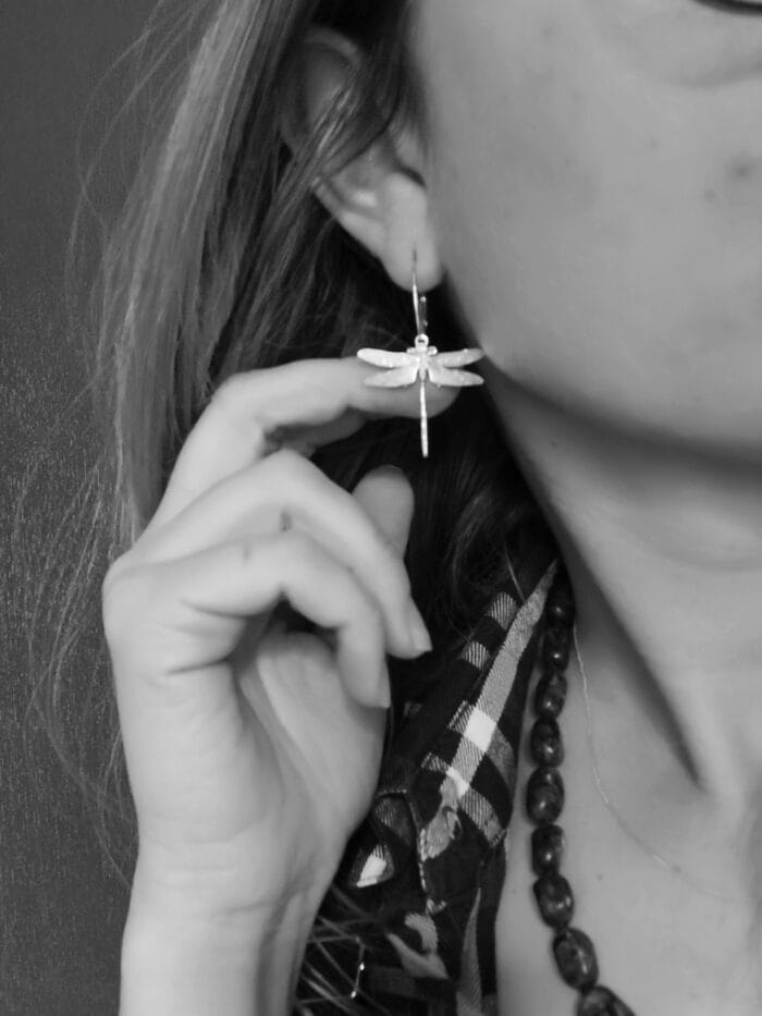 Laumžirgiai – Paveikslėlis 3