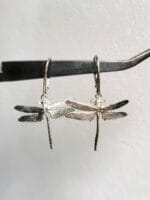 Laumžirgiai – Paveikslėlis 2