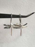 Laumžirgiai – Paveikslėlis 4