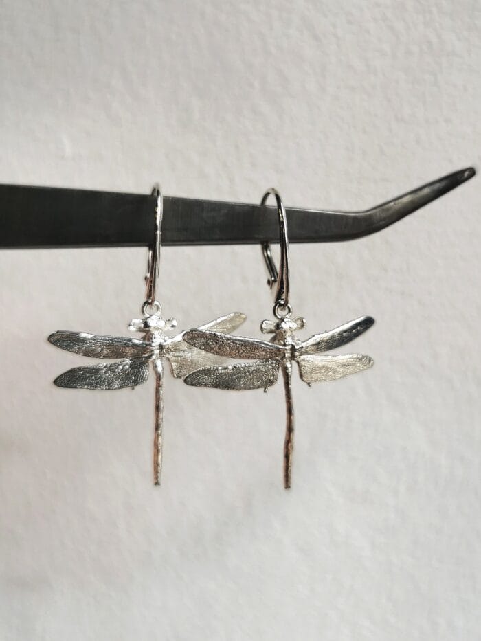 Laumžirgiai – Paveikslėlis 4