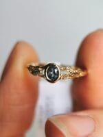 Laumės šakelė – Paveikslėlis 4