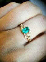 Miško sapnas - Image 4