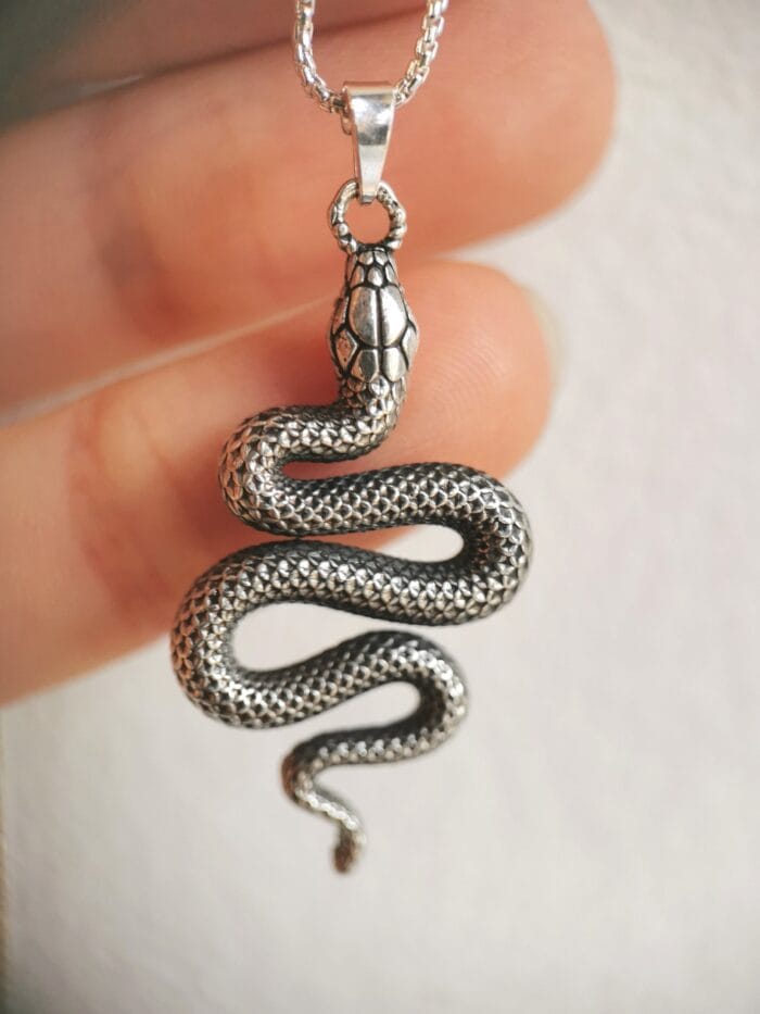 2025/07/IMG_20250709_130402_edit_43019365311664-1-scaled.jpg Eglė žalčių karalienė – Paveikslėlis 1