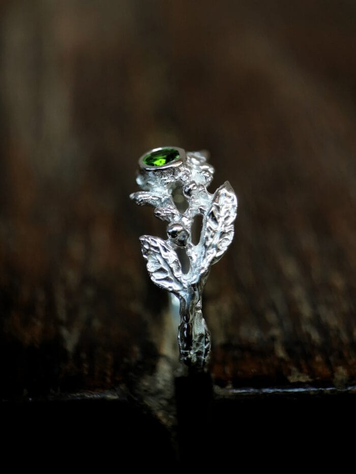 Žalioji ragana – Paveikslėlis 2