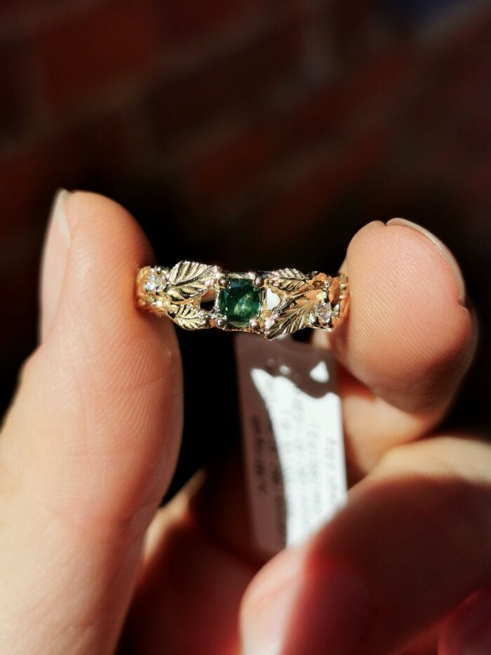 Šventaragio vainikas – Paveikslėlis 3