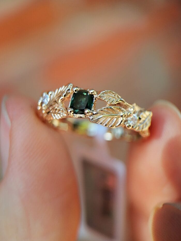 Šventaragio vainikas – Paveikslėlis 9