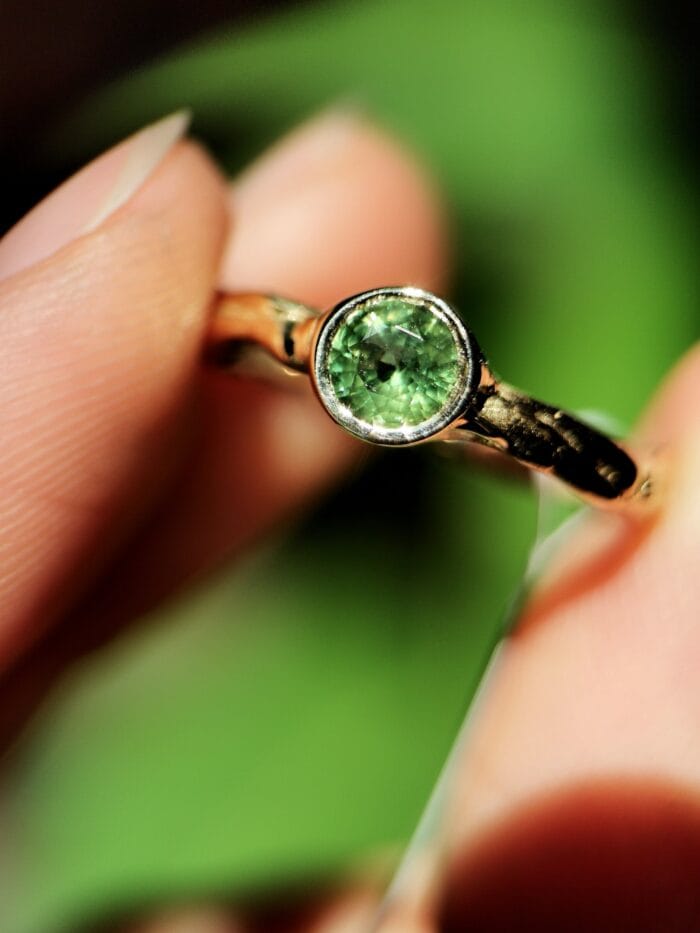 Žalčio akis – Paveikslėlis 4