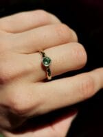 Žalčio akis – Paveikslėlis 3