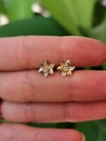 Pievų karalienės – Paveikslėlis 2