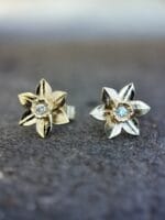 Pievų karalienės – Paveikslėlis 3