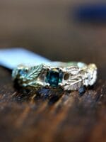 Šventaragio vainikas – Paveikslėlis 6