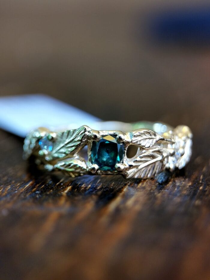 Šventaragio vainikas – Paveikslėlis 6