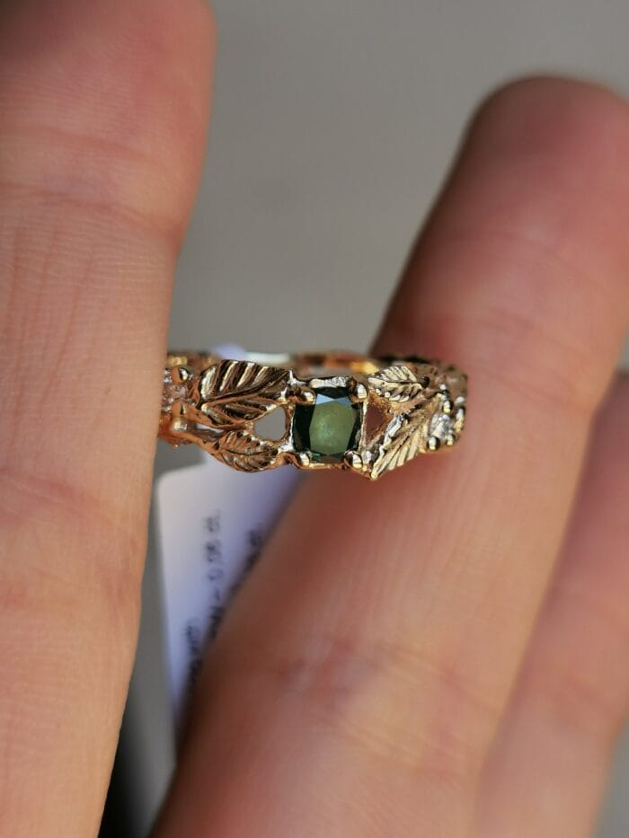 Šventaragio vainikas – Paveikslėlis 7