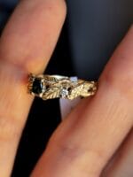 Šventaragio vainikas – Paveikslėlis 5