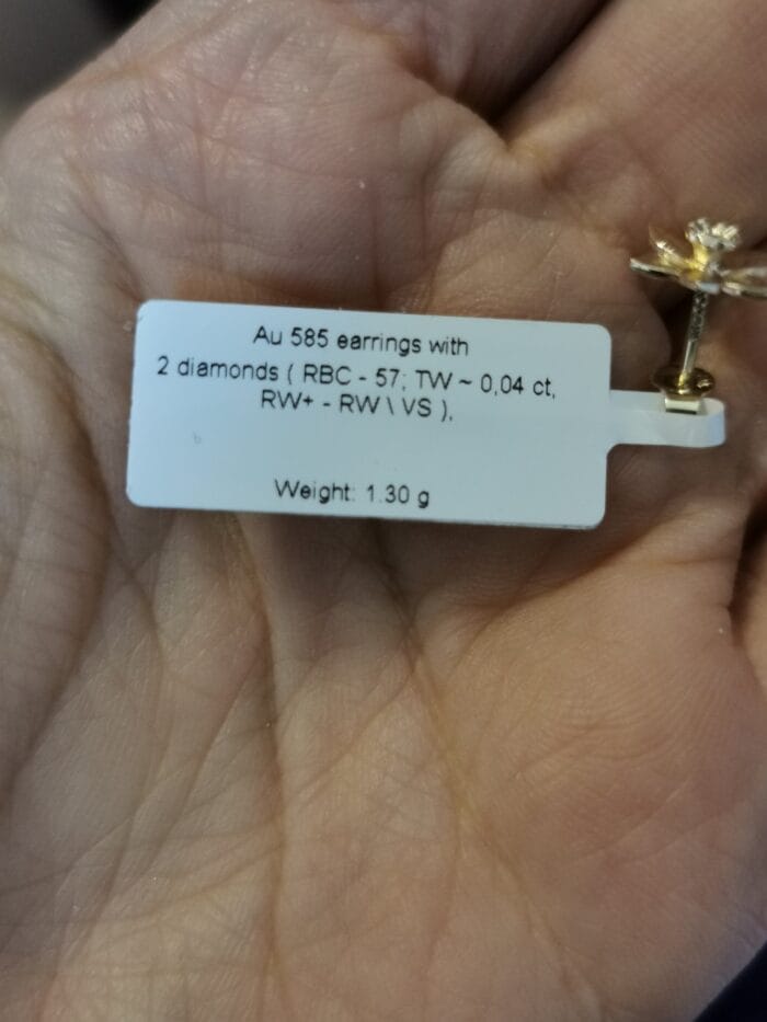 Pievų karalienės – Paveikslėlis 4