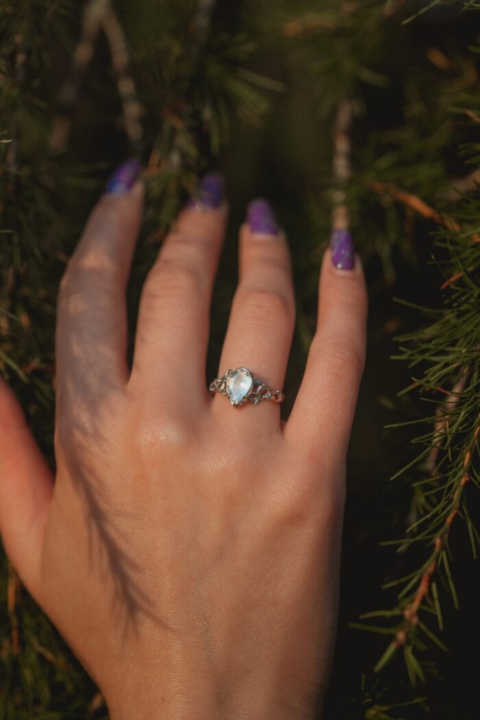 Mėnulio šviesa – Paveikslėlis 9