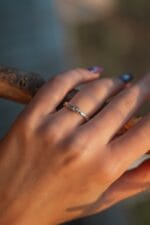 Šviesos šešėlis – Paveikslėlis 4