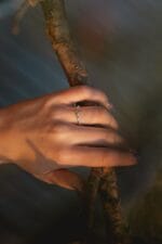 Šviesos šešėlis – Paveikslėlis 5