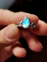 Mėnulio šviesa – Paveikslėlis 5