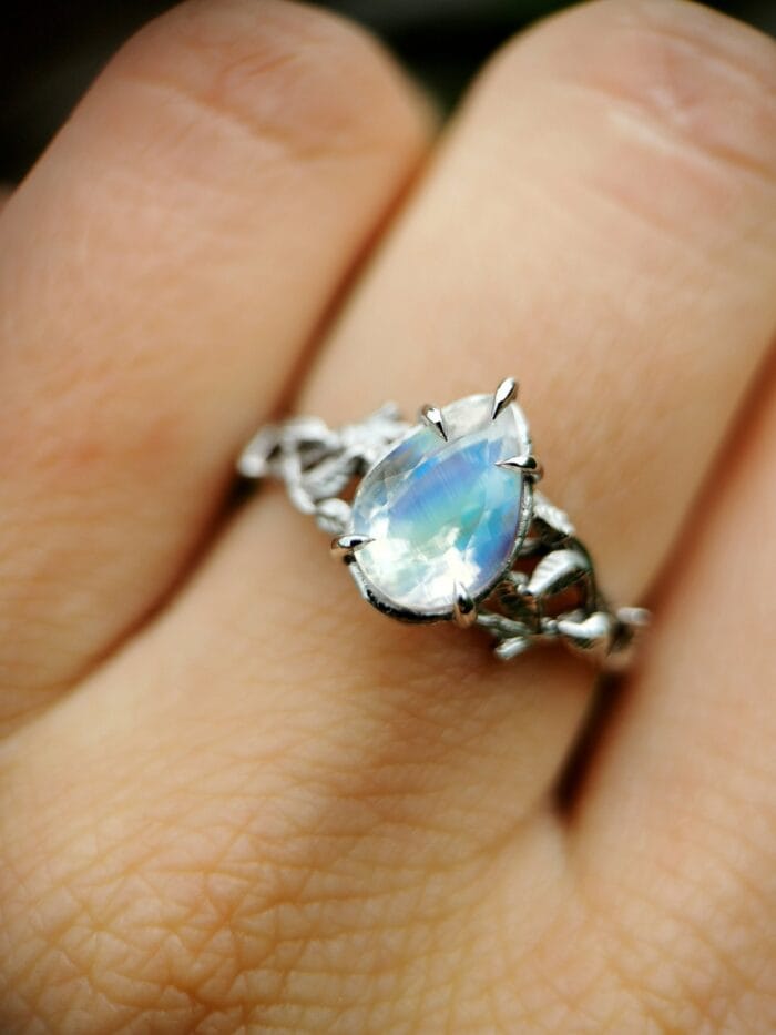 Mėnulio šviesa – Paveikslėlis 1