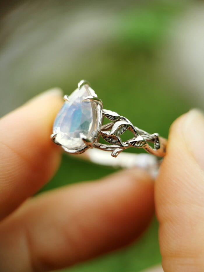 Mėnulio šviesa – Paveikslėlis 8